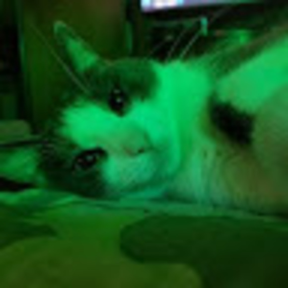 Meet your Posher, Billie - Picture 1 of 1